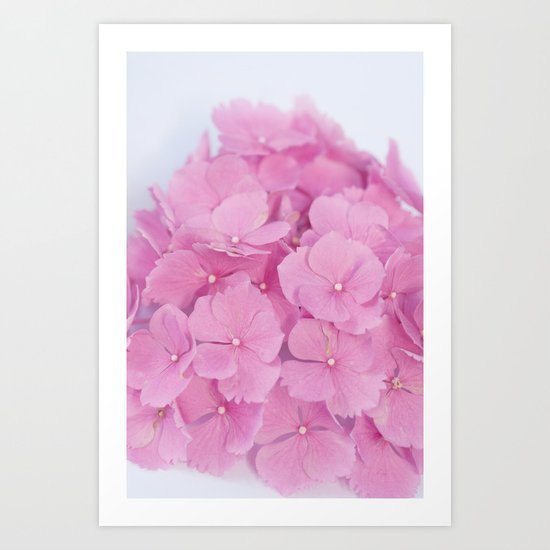 Light-Pink Hydrangeas #1 #decor #art #society6 Art Print
