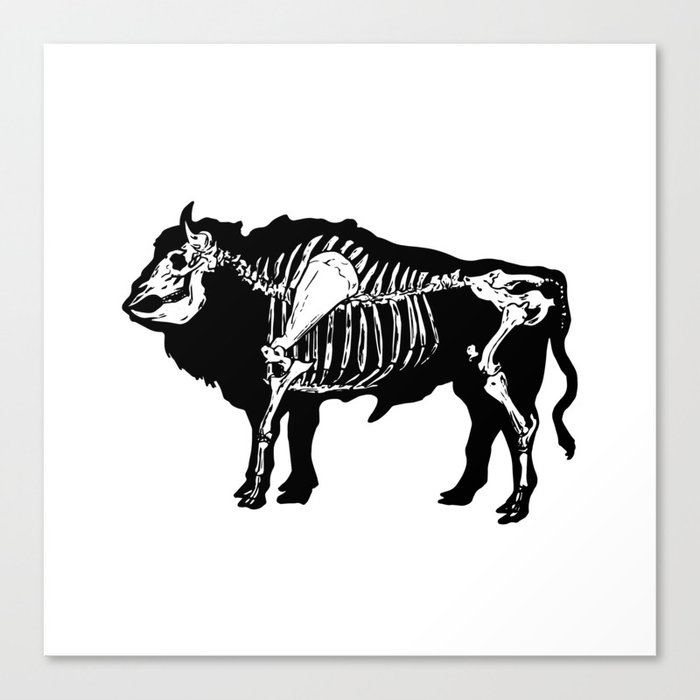 x-ray buffalo Canvas Print