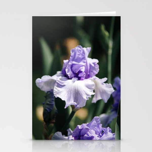 Lavender Iris Stationery Cards