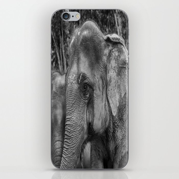 Asian Elephant-The Same But Different_B&W iPhone Skin