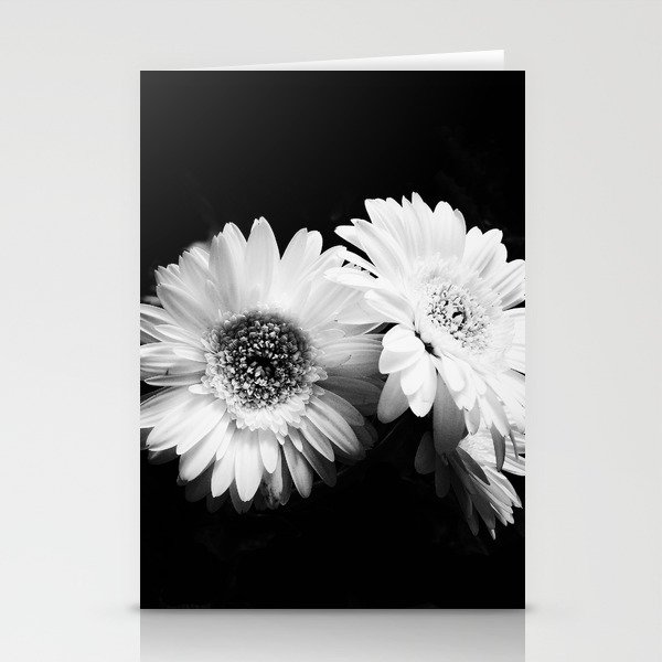 Flowers in Black and White - Nature Vintage Photography Stationery Cards