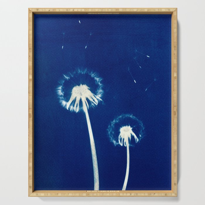 Cyanotype - Dandelion #1 Serving Tray