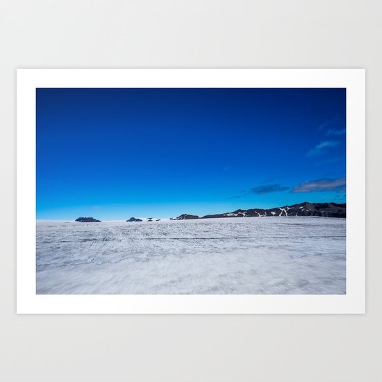 Fly Art Print