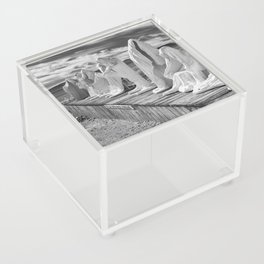 Ghosts of the Desert Acrylic Box
