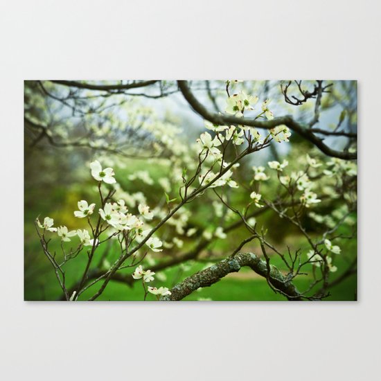 Surrounded by Possibility Canvas Print