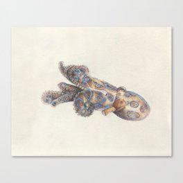 Octopus #4 Canvas Print