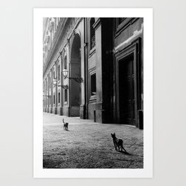 Two French Cats, Paris Left Bank black and white cityscape photograph / photography Art Print
