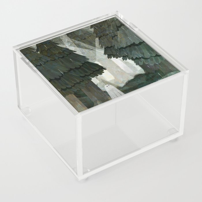Pine Forest Clearing Acrylic Box