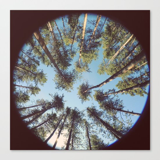 look up & GET LOST Canvas Print
