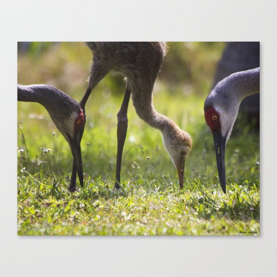 Family Feast Canvas Print