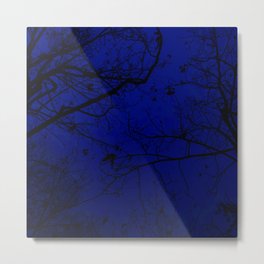 Blue Forest Metal Print