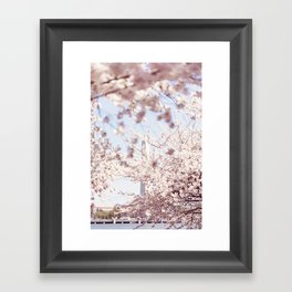 DC Cherry Blossom Festival Photography Framed Art Print