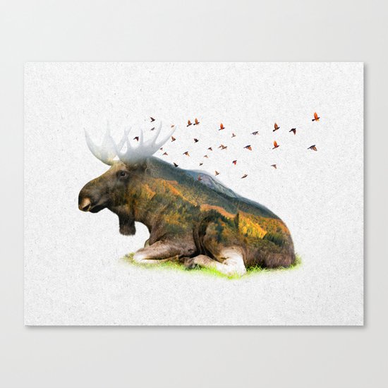 Wild I Shall Stay | Moose Canvas Print