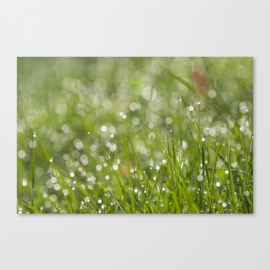 Fresh green meadow - Green grass with waterdroplets sparkling in the sun on #Society6 Canvas Print