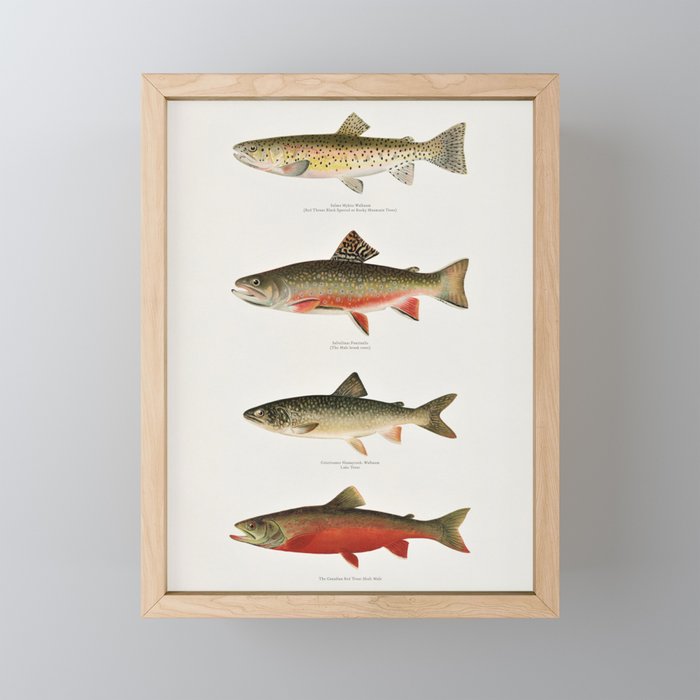 Framed Mini Art Print