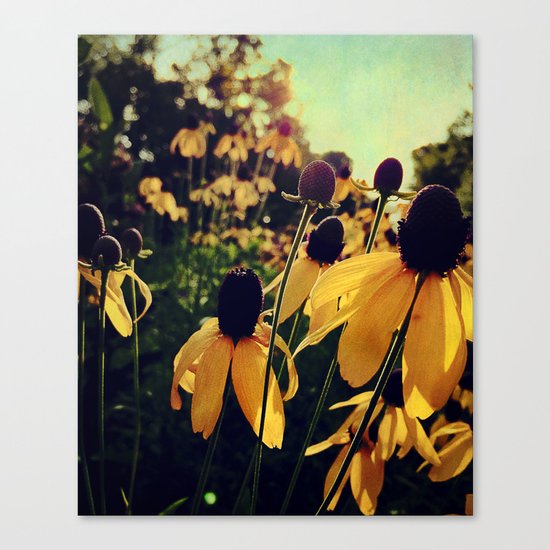 On the Edge of Summer Canvas Print