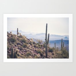 Superstition Wilderness of Arizona Art Print