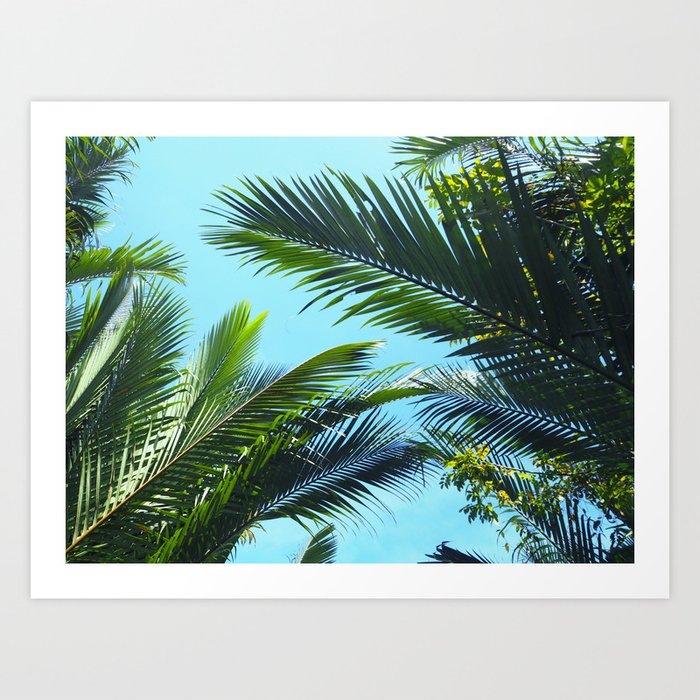 Palm love Art Print