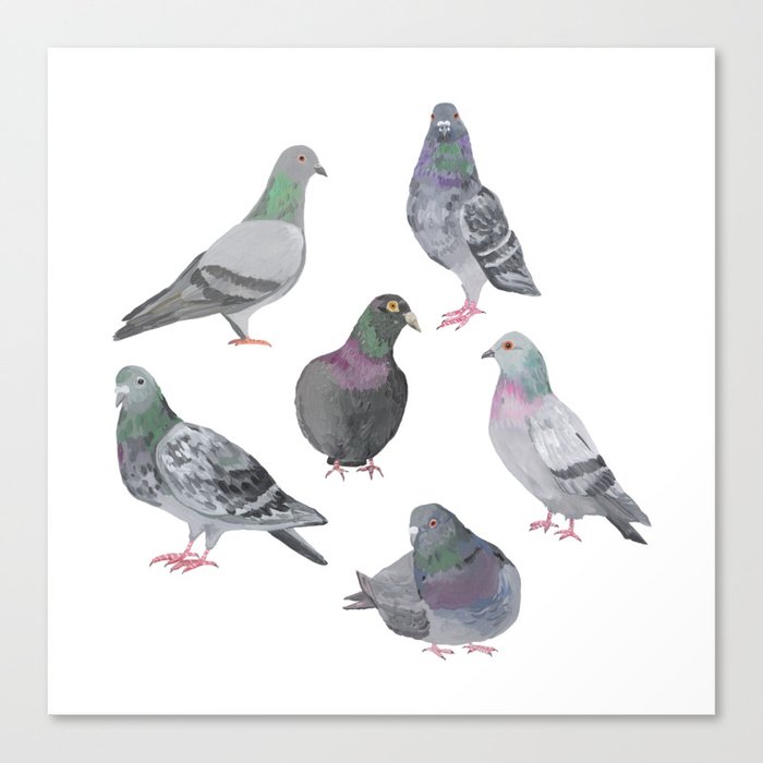 Canvas Print