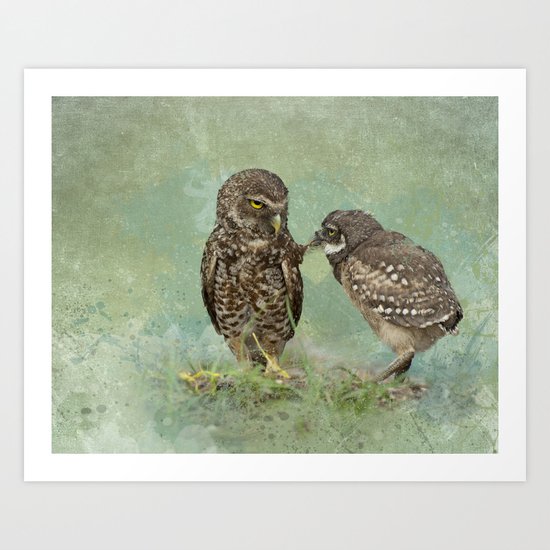 Cute Owl Art Print
