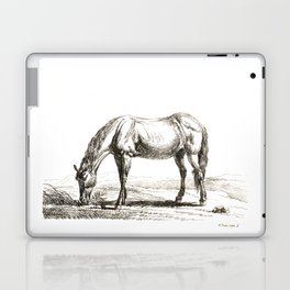 A Grazing Horse - Vintage Illustration Laptop Skin