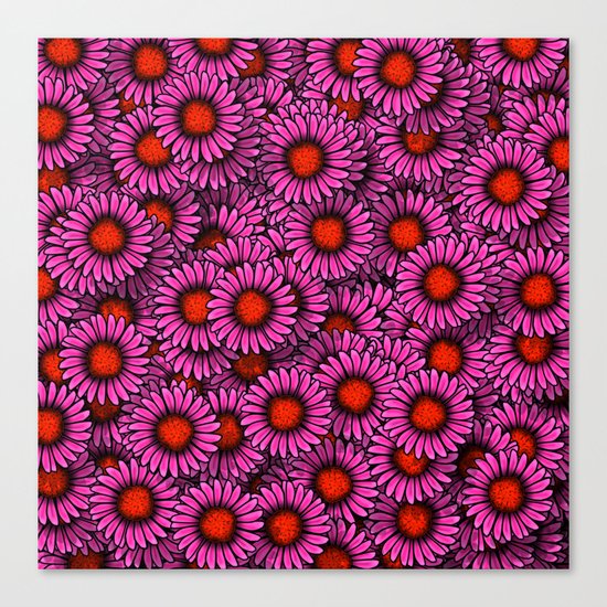 Echinacea Canvas Print