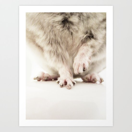 Chinchilla Hands = The Cutest Hands Art Print