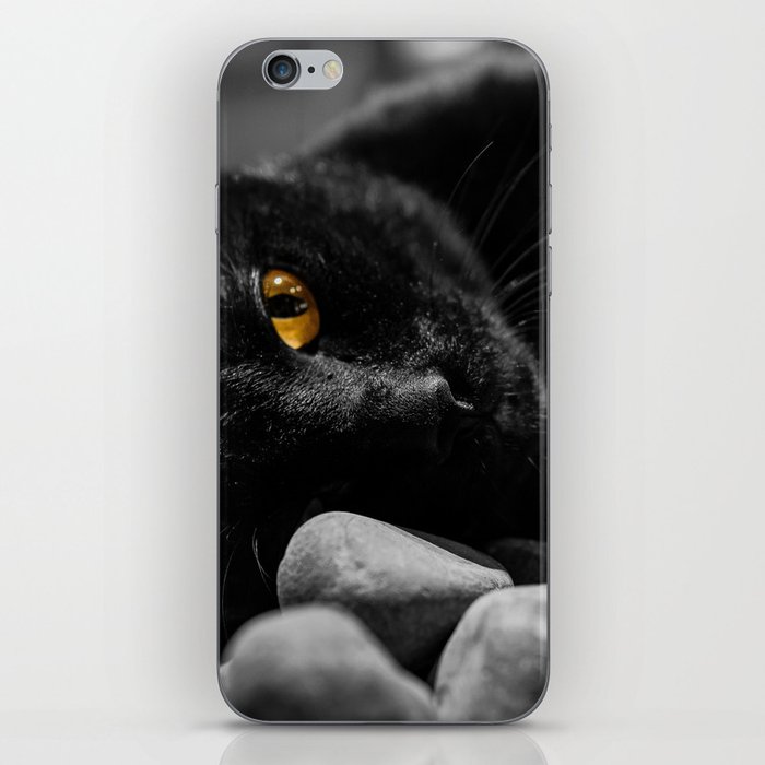 Nine lives - black cat with orange eyes nature feline portrait black and white photograph - photography - photographs iPhone Skin
