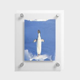 A Penguin Glide Floating Acrylic Print