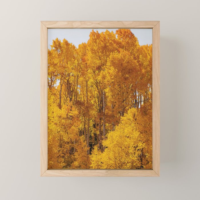 Framed Mini Art Print
