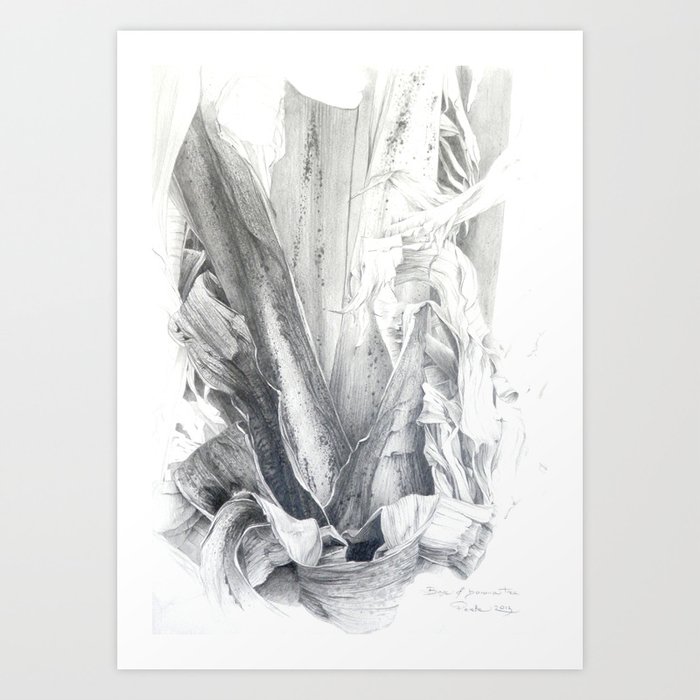 Base of banana tree Art Print