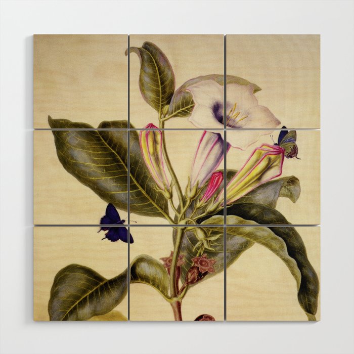  Sacred datura and blue butterfly Wood Wall Art