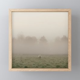 Early Morning in the Sheep Pasture Framed Mini Art Print