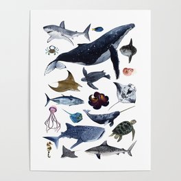 SEA CREATURES Poster