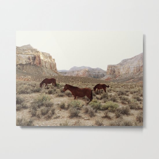 Hualapai Hilltop Horses Metal Print