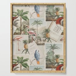 Retro Nostlgic Tropical Journey Collage Art With Birds Serving Tray