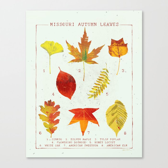 Missouri Autumn Leaves Chart Canvas Print