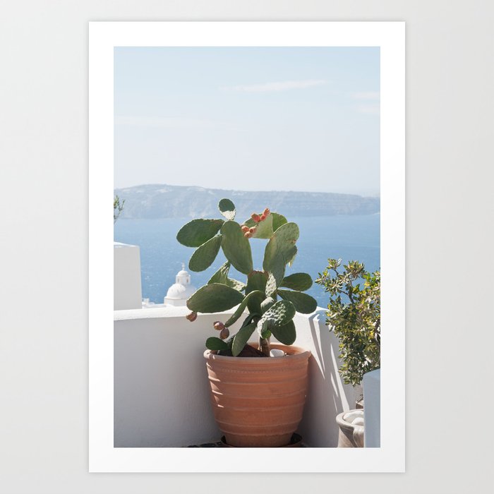 Santorini Cactus Dream #3 #minimal #wall #decor #art #society6 Art Print
