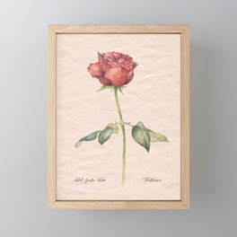 Watercolor vintage red rose flower  Framed Mini Art Print