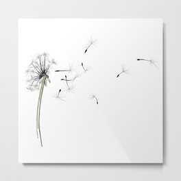 dandelion on the fish - flowers in the breeze Metal Print | Drafting, Wind, Letitgo, Drawing, Seed, Realism, Breeze, Coloredpencil, Flower, Illustration 
