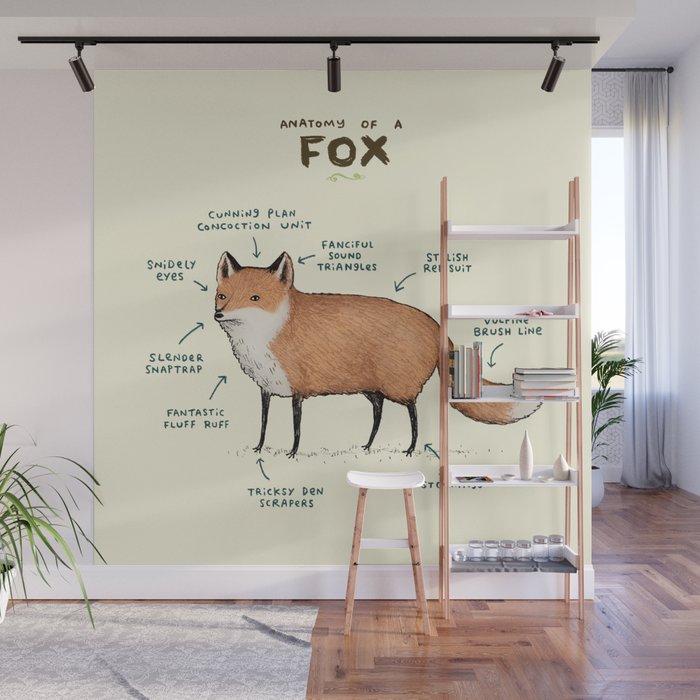 Anatomy of a Fox Wall Mural