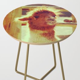 Disheveled Pretty Llama | Cute animals of the desert Side Table