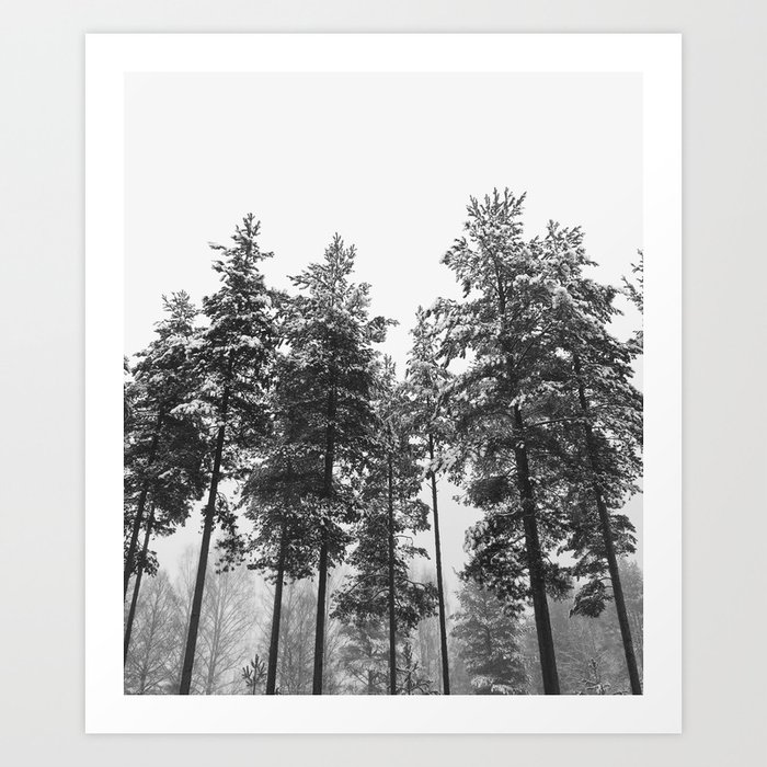 simply trees in winter Art Print