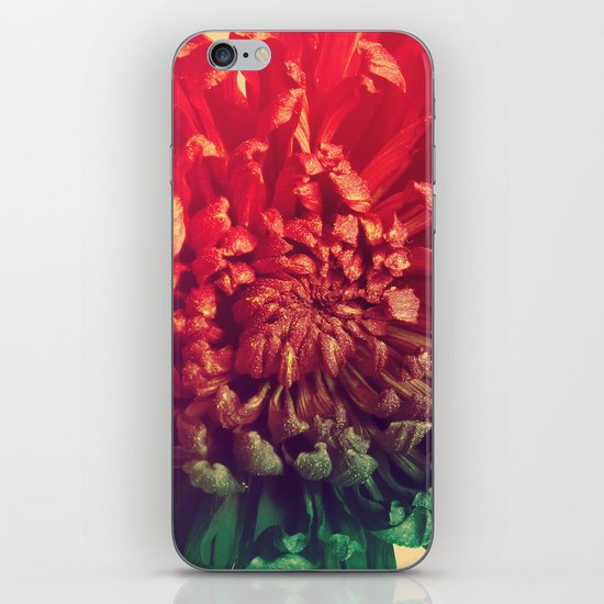 Celebration iPhone & iPod Skin