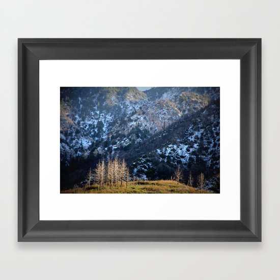 magic kingdom Framed Art Print