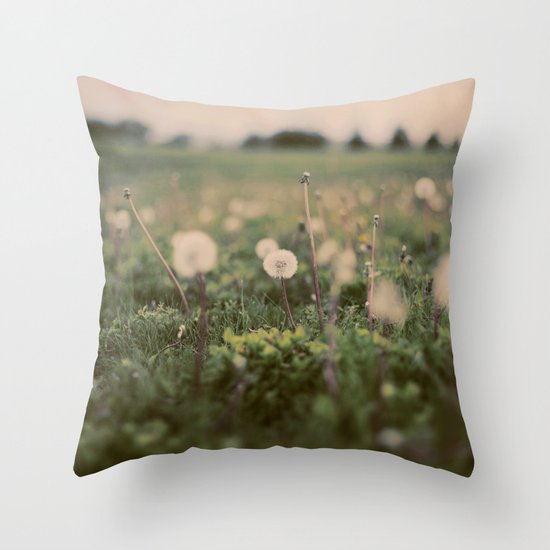 Forgotten Wishes Throw Pillow