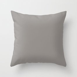 Granite Gray Throw Pillow