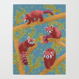  Red panda // ailurus fulgens // summer tones artwork illustration // Danni Cockerill Poster
