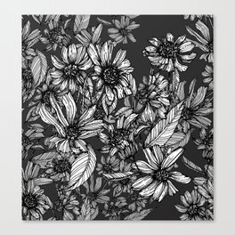 Arnica Canvas Print