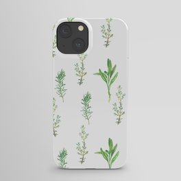 spices iPhone Case